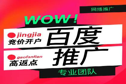 百度竞价推广案例：打造高效营销策略